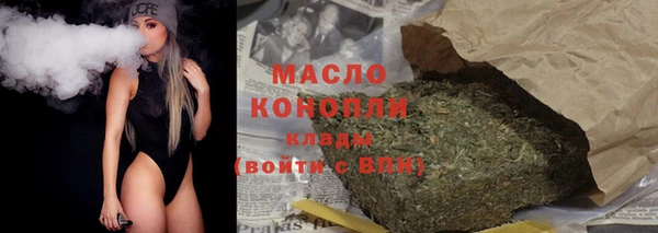 тгк Дмитриев