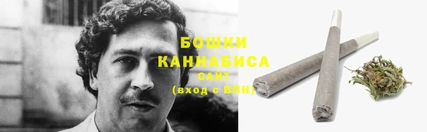 тгк Дмитриев