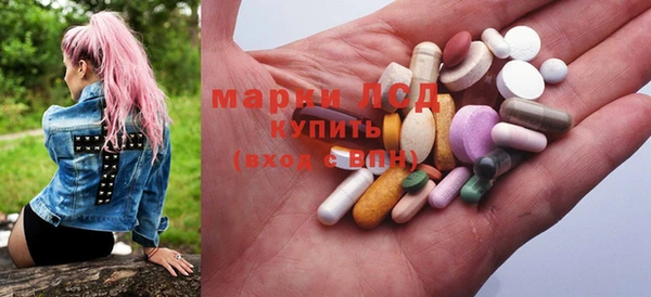 тгк Дмитриев