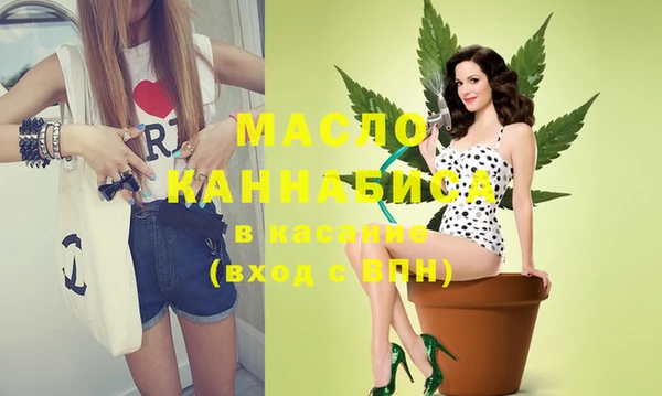 тгк Дмитриев